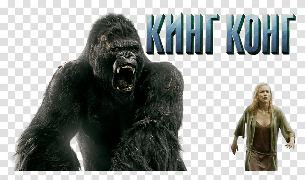 King Kong En, Ape, Wildlife, Mammal, Animal Transparent Png