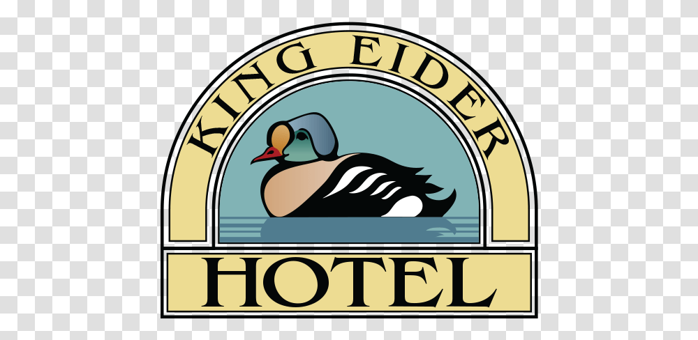 King Language, Duck, Bird, Animal, Waterfowl Transparent Png