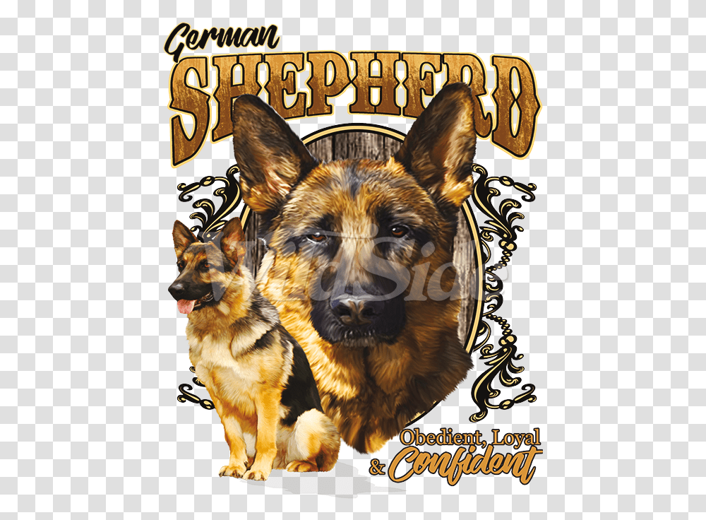 King Shepherd, German Shepherd, Dog, Pet, Canine Transparent Png