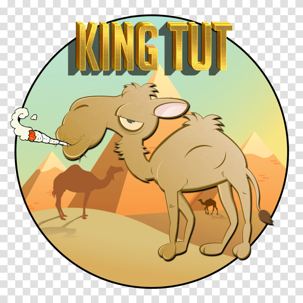 King Tut Stickyzoo, Animal, Mammal, Camel Transparent Png