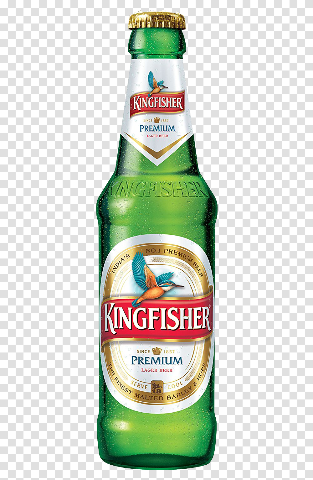 Kingfisher Beer Bottle, Alcohol, Beverage, Drink, Lager Transparent Png