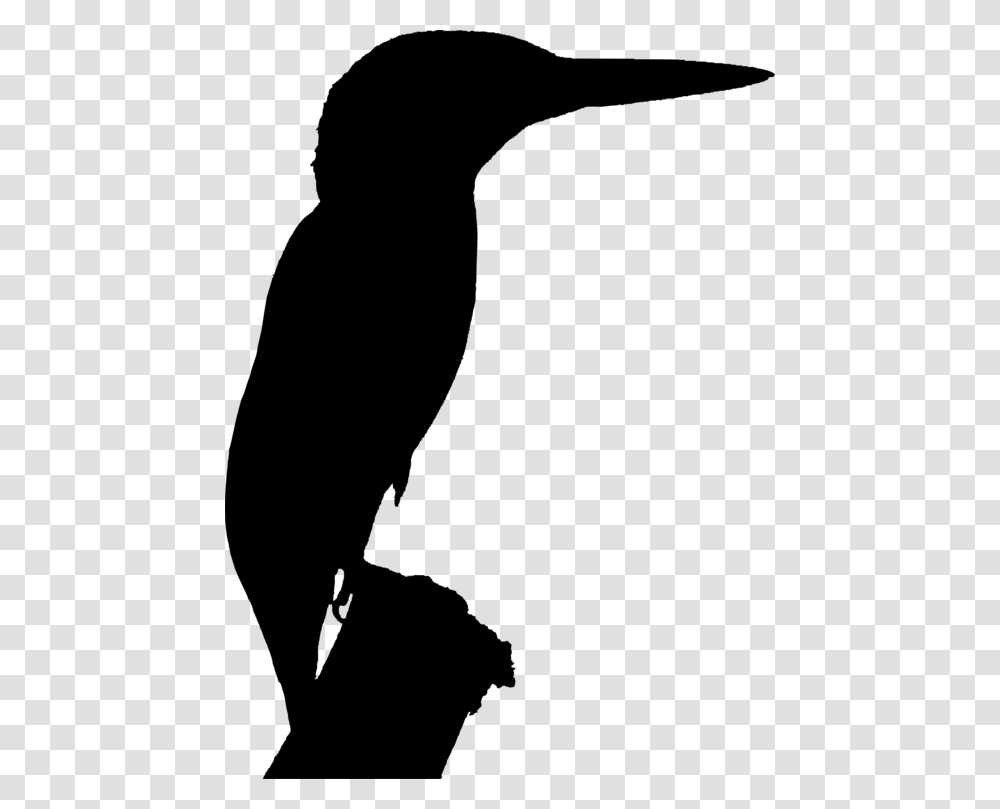 Kingfisher Bird Silhouette, Gray, World Of Warcraft Transparent Png