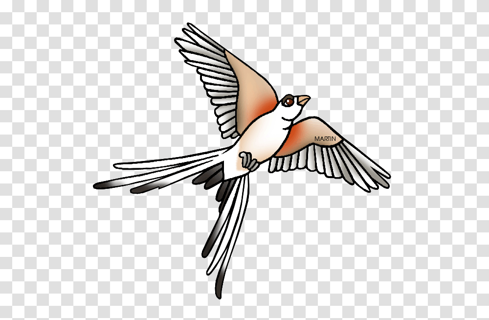 Kingfisher Clipart Ibon, Jay, Bird, Animal, Flying Transparent Png