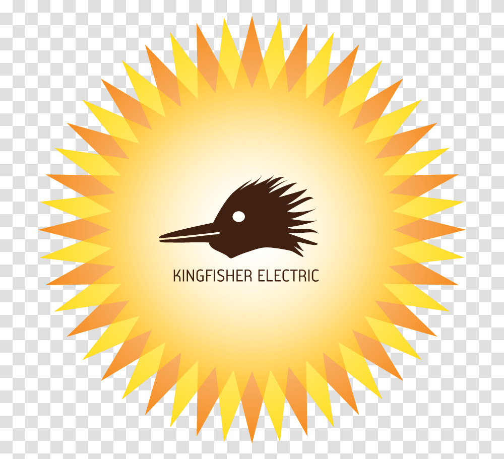 Kingfisher Electric Instinct Dance Moby, Bird, Animal, Kiwi Bird, Poster Transparent Png