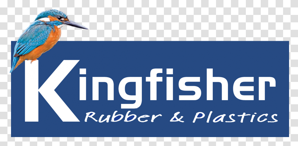 Kingfisher Rubber Extrusions Logo Piciformes, Bird, Word Transparent Png