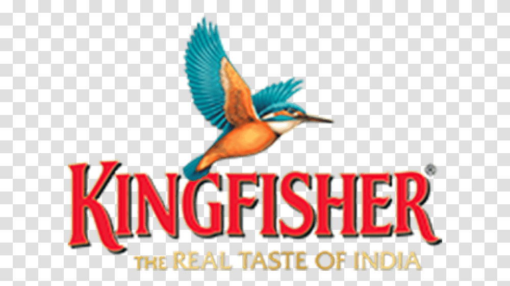 Kingfisher The Real Taste Of India, Bluebird, Animal, Flying, Jay Transparent Png
