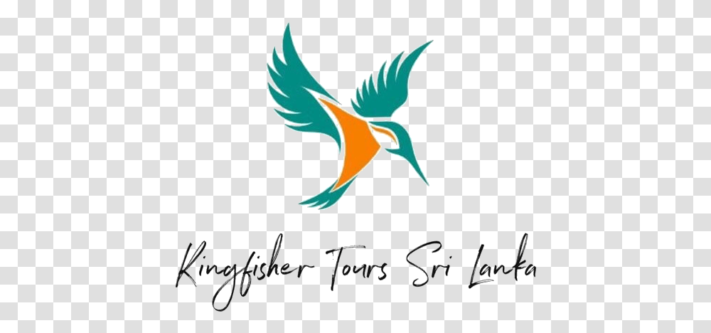Kingfisher Tours Srilanka Kingfisher Tours Sri Lanka, Animal, Bird Transparent Png
