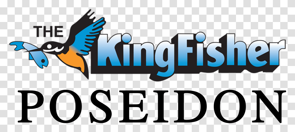 Kingfisher, Word, Alphabet, Logo Transparent Png