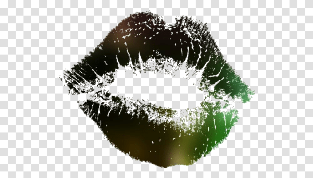 Kiss Clipart Kiss Lips No Background, Plant, Photography, Mold Transparent Png