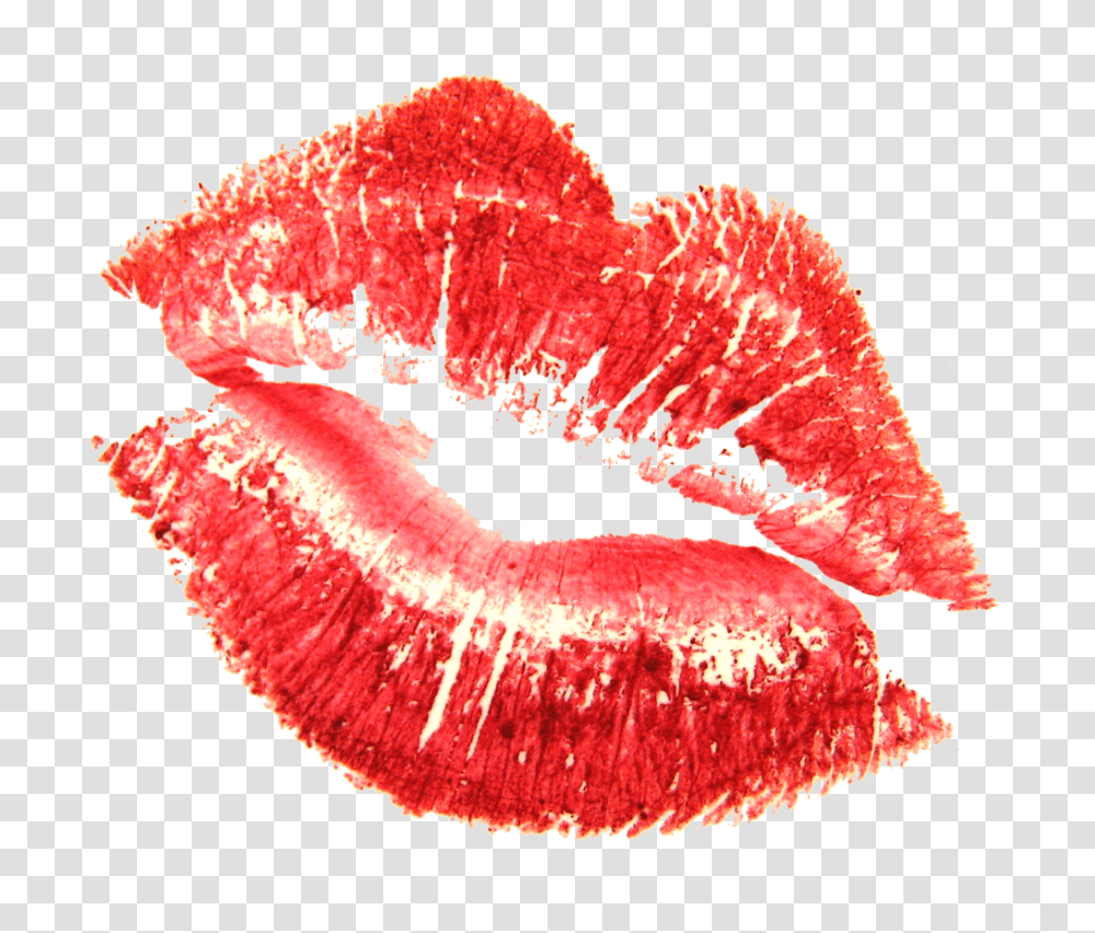 Kiss, Mouth, Lip, Plant, Cosmetics Transparent Png