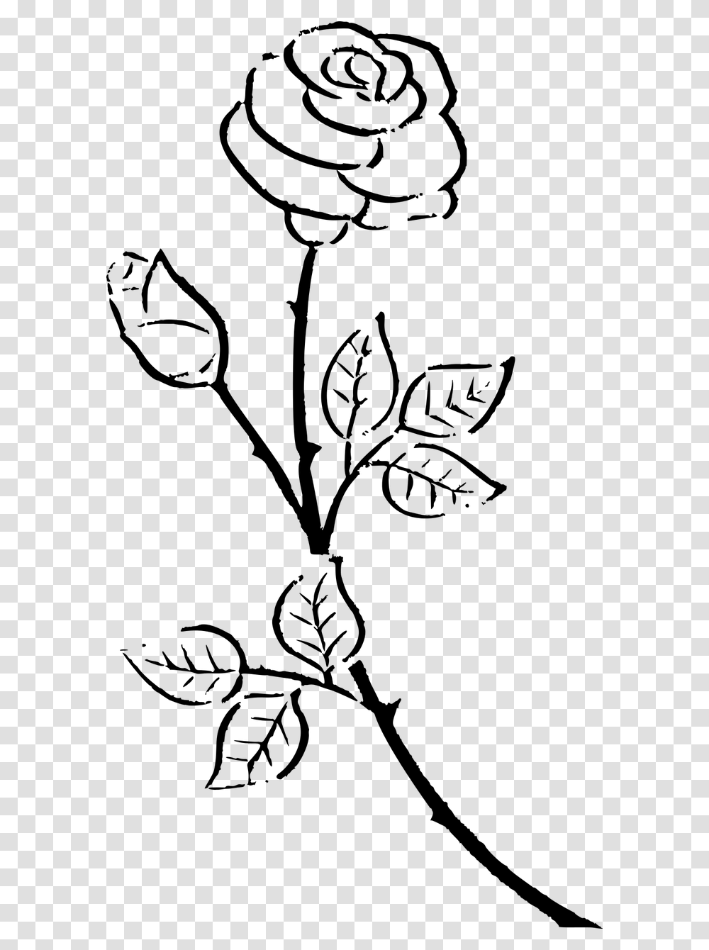 Kisscc Silhouette Drawing Rose Black And White Flower White Rose Silhouette, Gray, World Of Warcraft Transparent Png