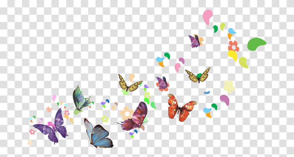 Kisspng Butterfly Poster Flying Butterfly, Animal, Bird Transparent Png