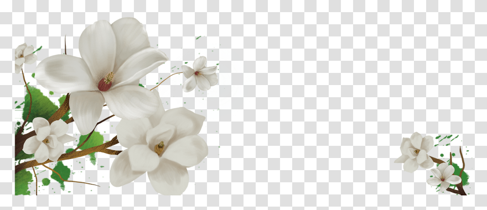 Kisspng Capejasmineflowerfloraldesignfloralbackground Jasmine Flower Background Free, Plant, Graphics, Art, Petal Transparent Png