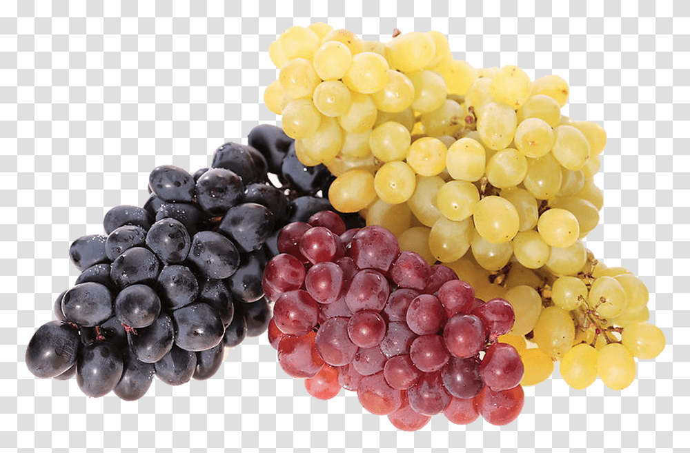 Kisspng Common Grape Vine Juice Wine Berry Red Grape Poleznie Svojstva Vinograda, Grapes, Fruit, Plant, Food Transparent Png