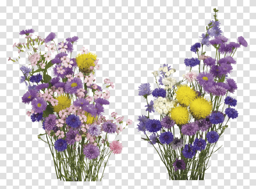 Kisspng English Lavender Cut Flowers Overlay Real Flower Background Real Flowers, Plant, Blossom, Ikebana Transparent Png