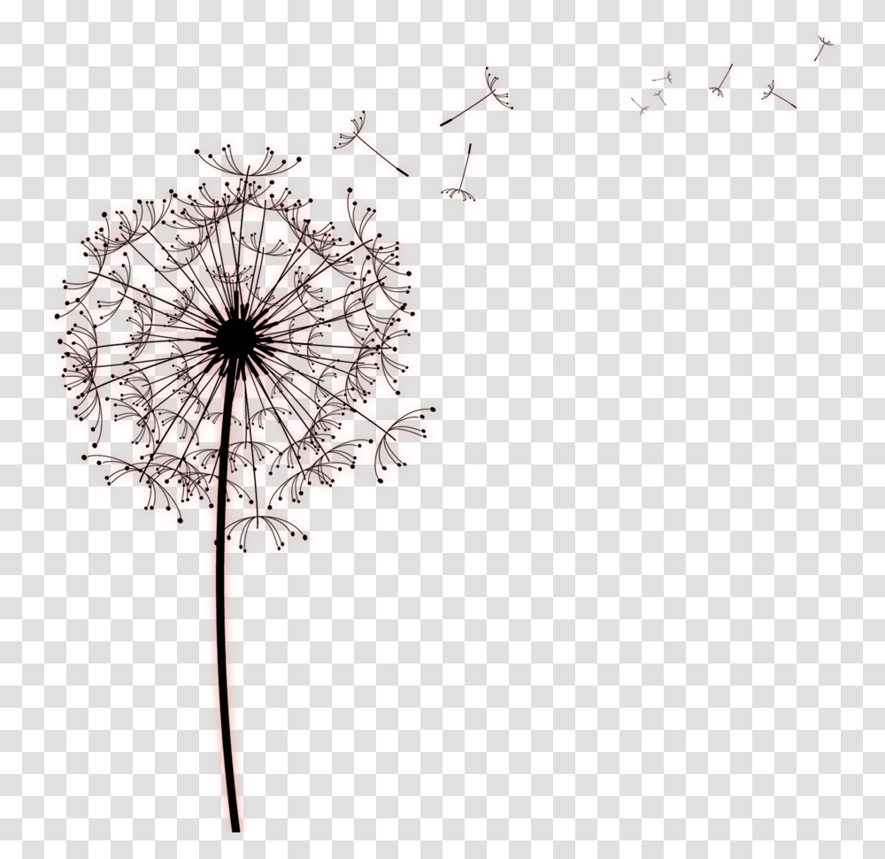 Kisspng Paper Common Dandelion Drawing Photography Designs For Sympathy Cards, Plant, Flower, Blossom, Lamp Transparent Png