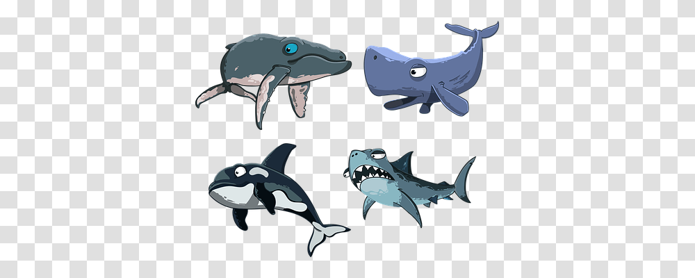 Kit Animals, Sea Life, Fish, Shark Transparent Png