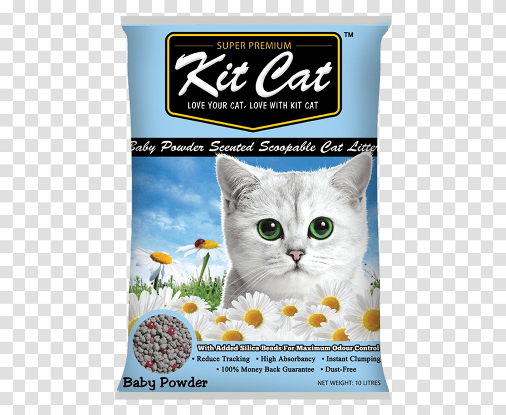 Kit Kat Cat Litter, Poster, Advertisement, Flyer, Paper Transparent Png