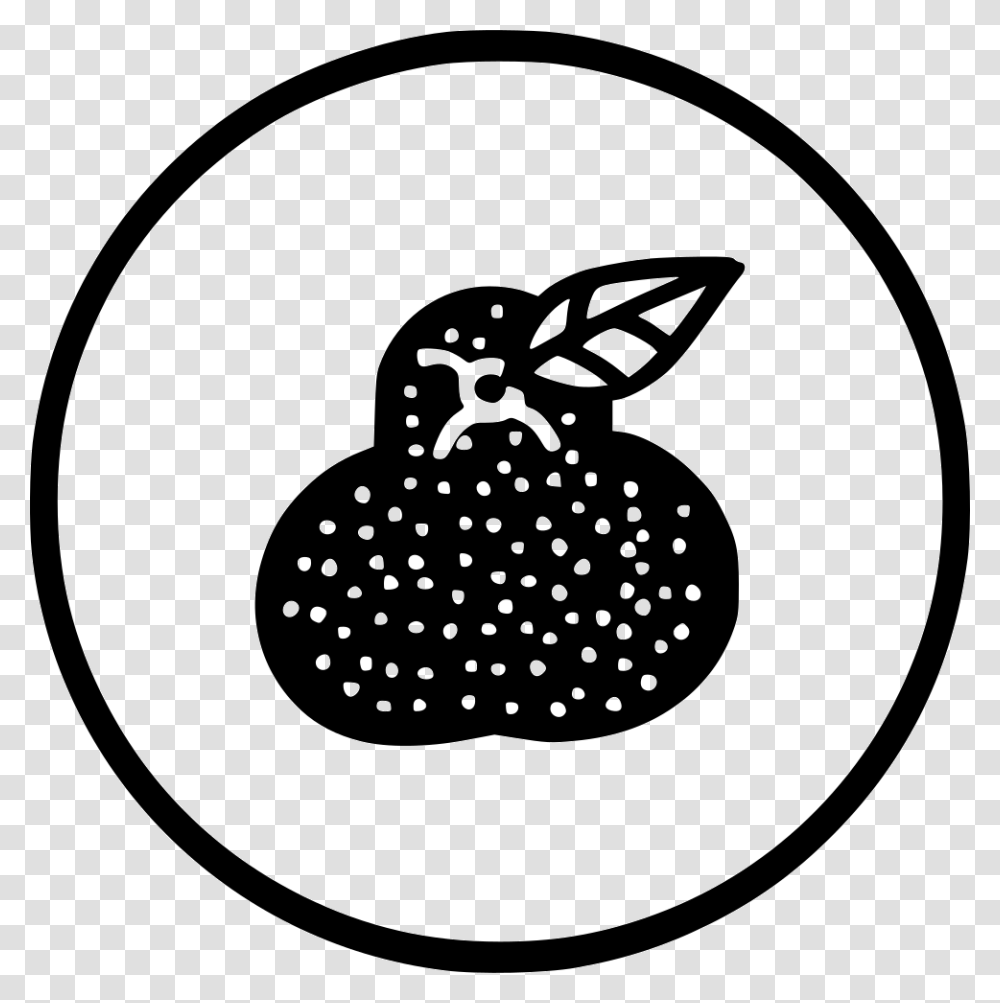Kitchen Fruit Guava Amrood Helthy Fresh Line Art, Label, Stencil, Logo Transparent Png