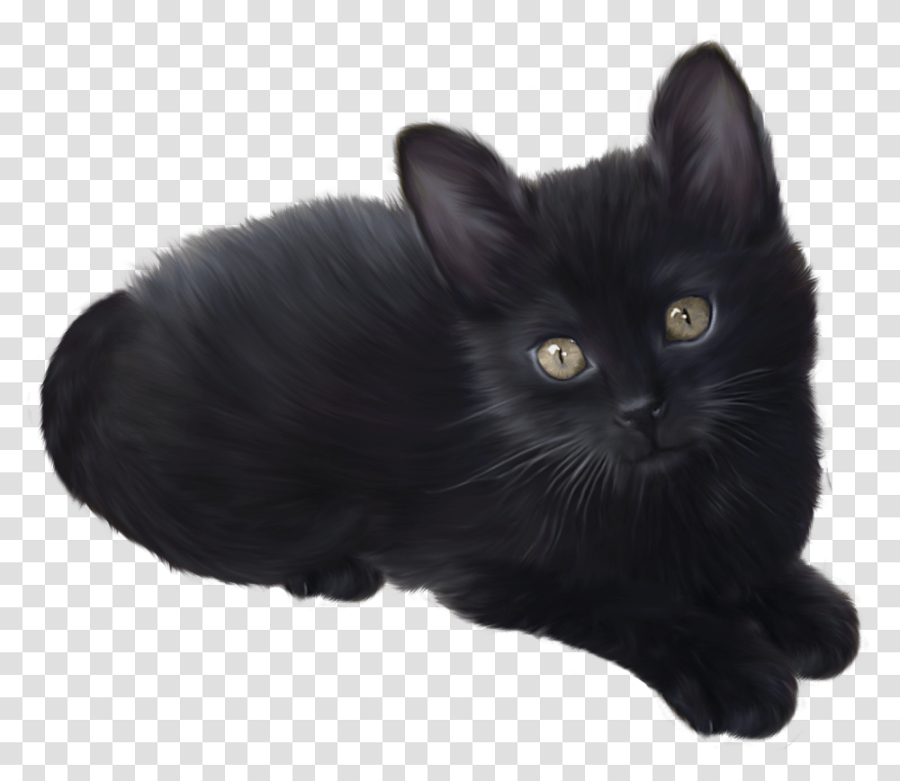 Kitten Black Kitten Background, Black Cat, Pet, Mammal, Animal Transparent Png