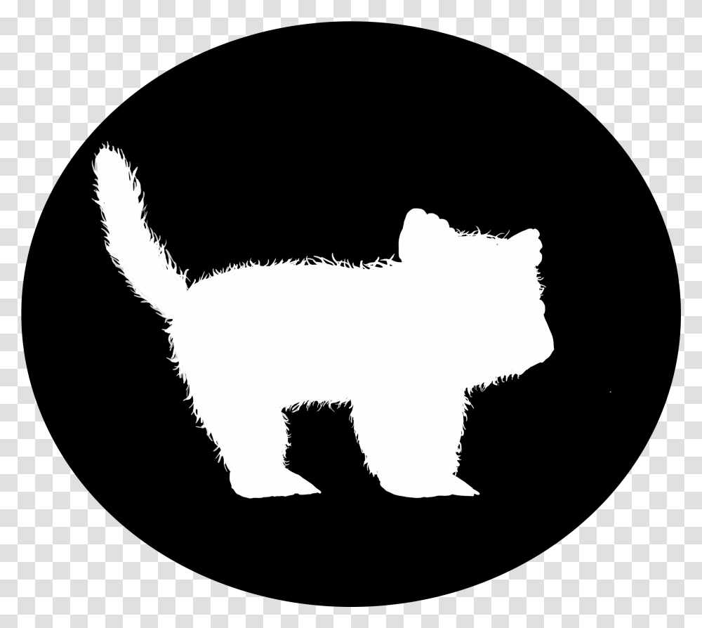 Kitten Cat, Canine, Mammal, Animal, Pet Transparent Png