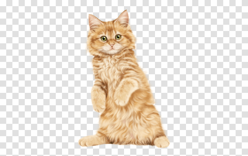 Kitten Cat Clip Art Persian Kitten Hd, Dog, Pet, Canine, Animal Transparent Png