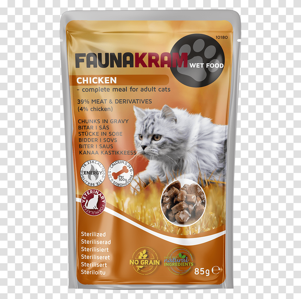 Kitten, Cat, Pet, Mammal, Animal Transparent Png