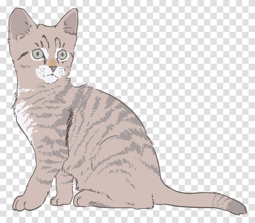 Kitten Clip Art, Mammal, Animal, Cat, Pet Transparent Png