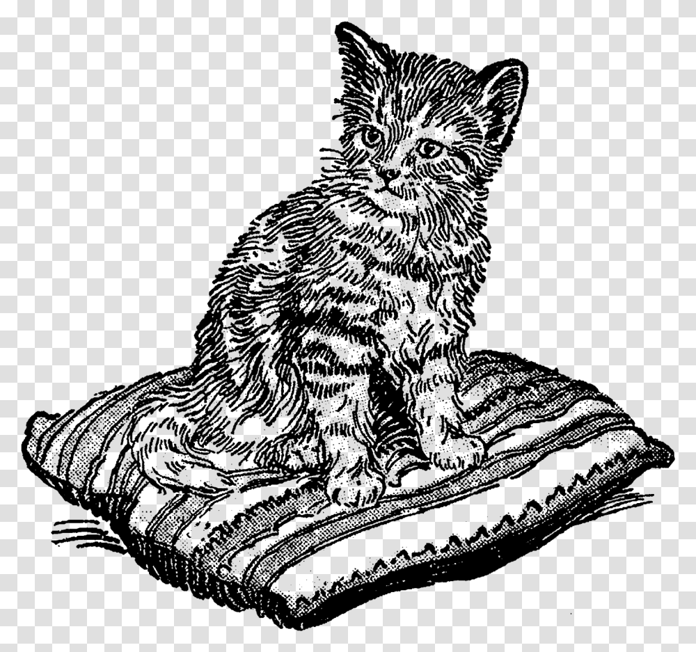 Kitten Clip Art Vintage Kitten Cat Illustration Black And White, Gray, World Of Warcraft Transparent Png