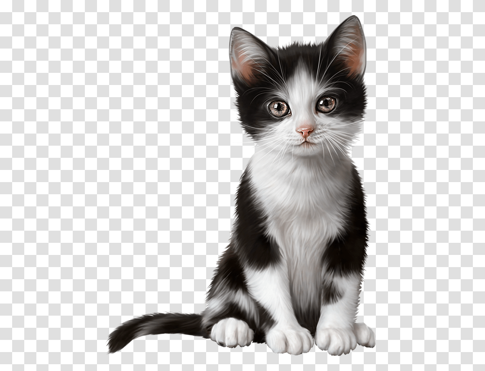 Kitten Clipart, Cat, Pet, Mammal, Animal Transparent Png
