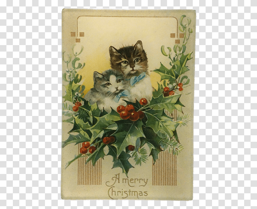 Kitten, Envelope, Mail, Greeting Card, Cat Transparent Png