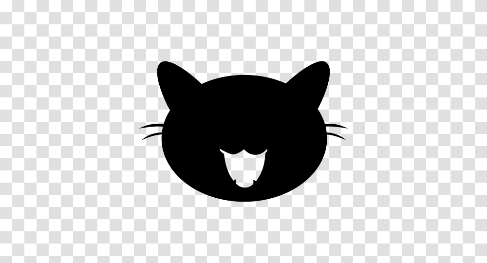 Kitten Face Cat Isolated Feline Free Photo, Gray, World Of Warcraft Transparent Png