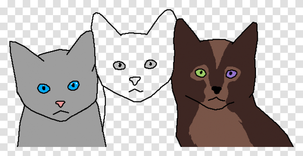 Kitten Face, Pet, Animal, Cat, Mammal Transparent Png
