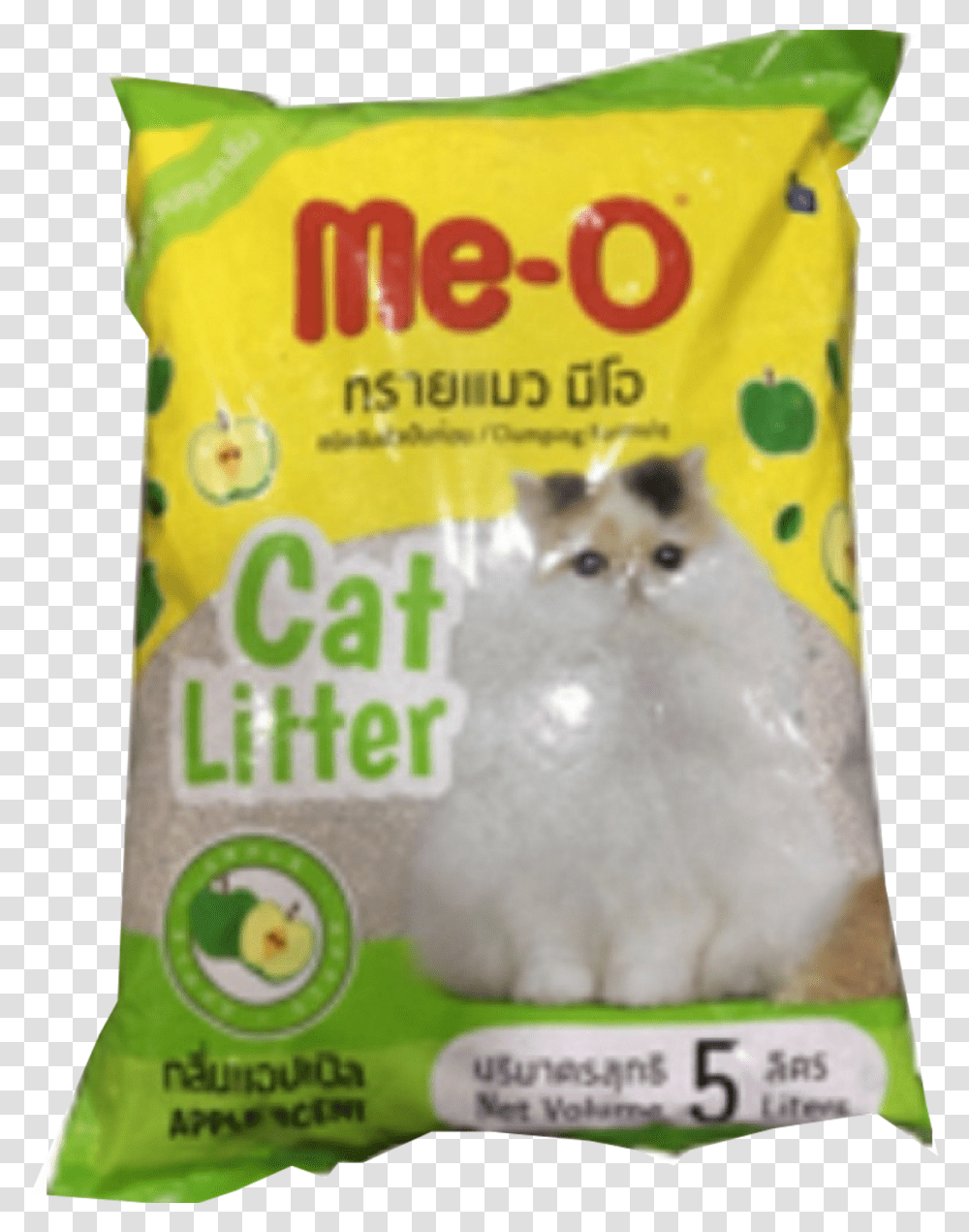 Kitten, Food, Cat, Pet, Mammal Transparent Png