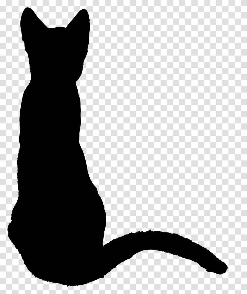 Kitten, Gray, World Of Warcraft Transparent Png