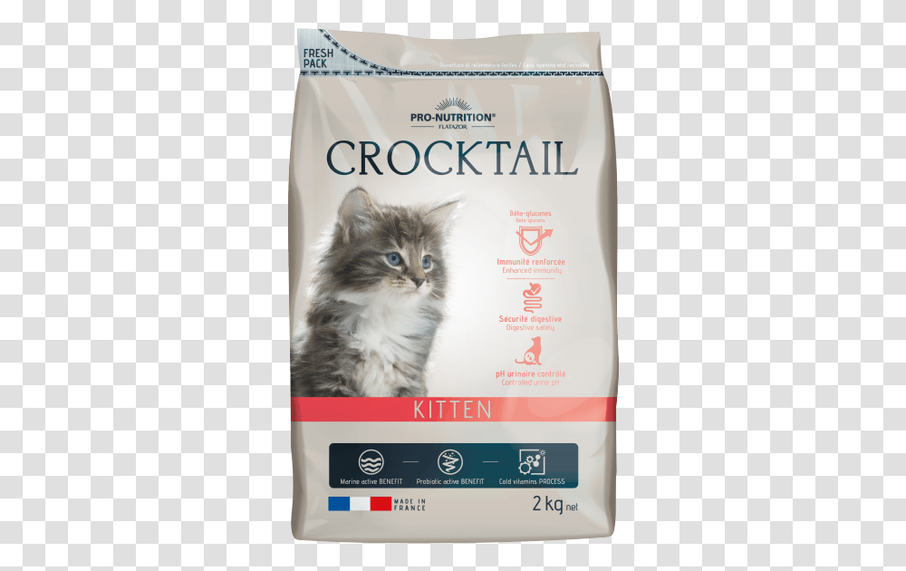 Kitten Hrana Za Malki Kotki, Cat, Pet, Mammal, Animal Transparent Png