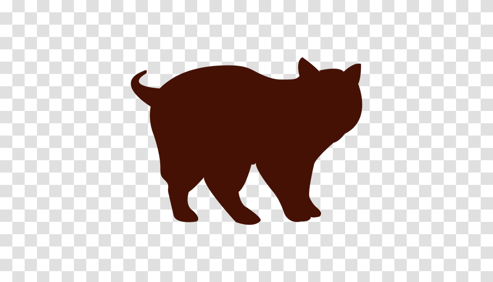 Kitten Silhouette, Animal, Mammal, Pet, Manx Transparent Png