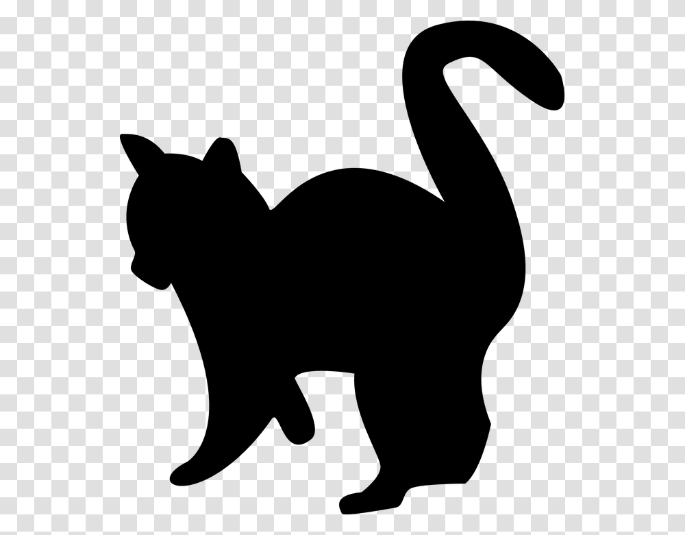 Kitten Silhouette Cat Black White Pet Gato Preto E Branco, Gray, World Of Warcraft Transparent Png