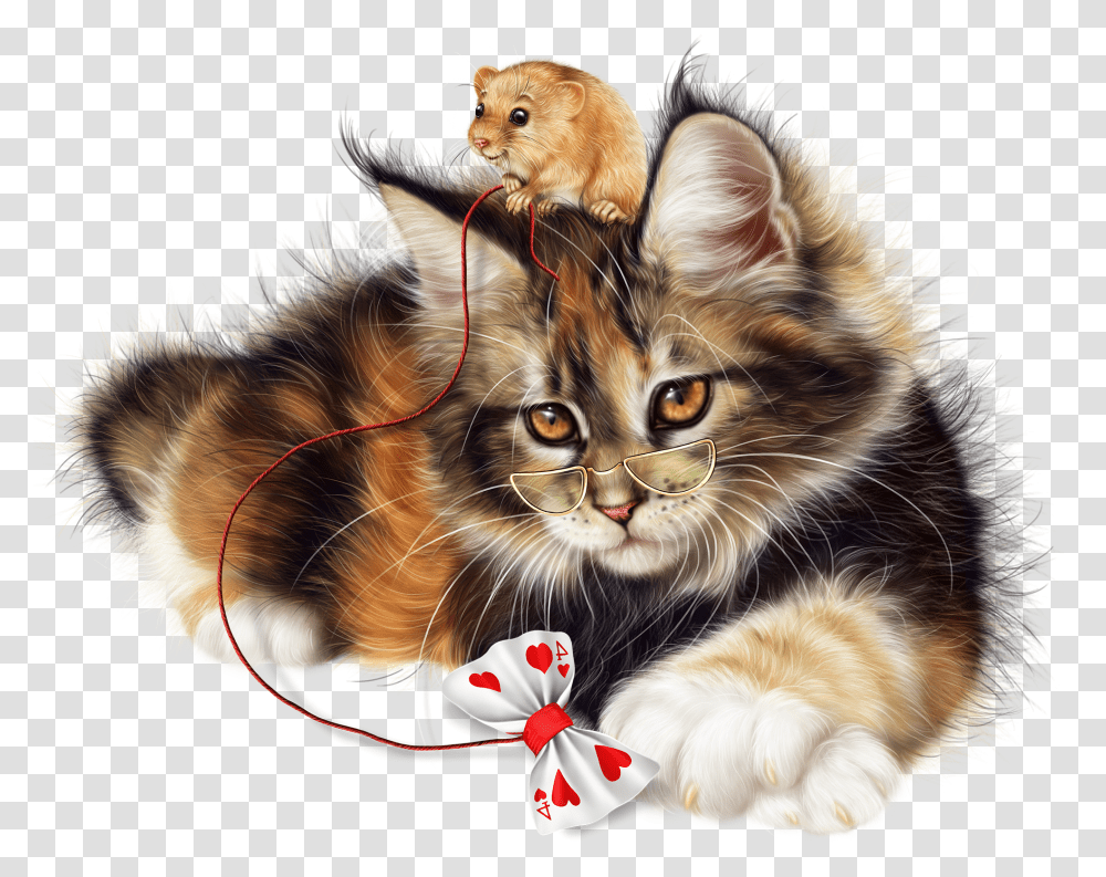 Kitten Transparent Png