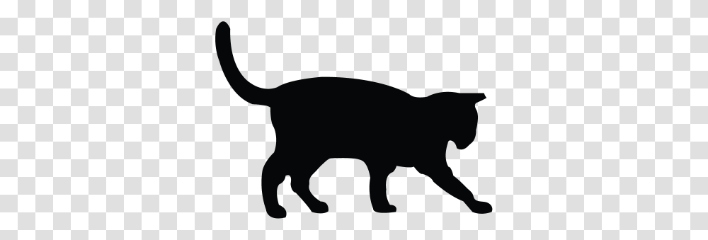 Kittens Feral Cat Coalition Of Oregon, Silhouette, Mammal, Animal, Stencil Transparent Png