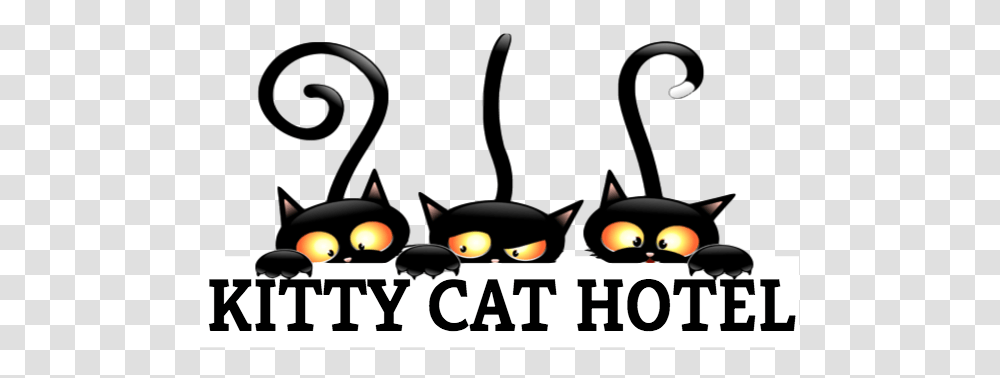 Kitty Cat Hotel Cat Sitting And Boarding Facility In Eugene Oregon, Wasp, Bee, Insect, Invertebrate Transparent Png