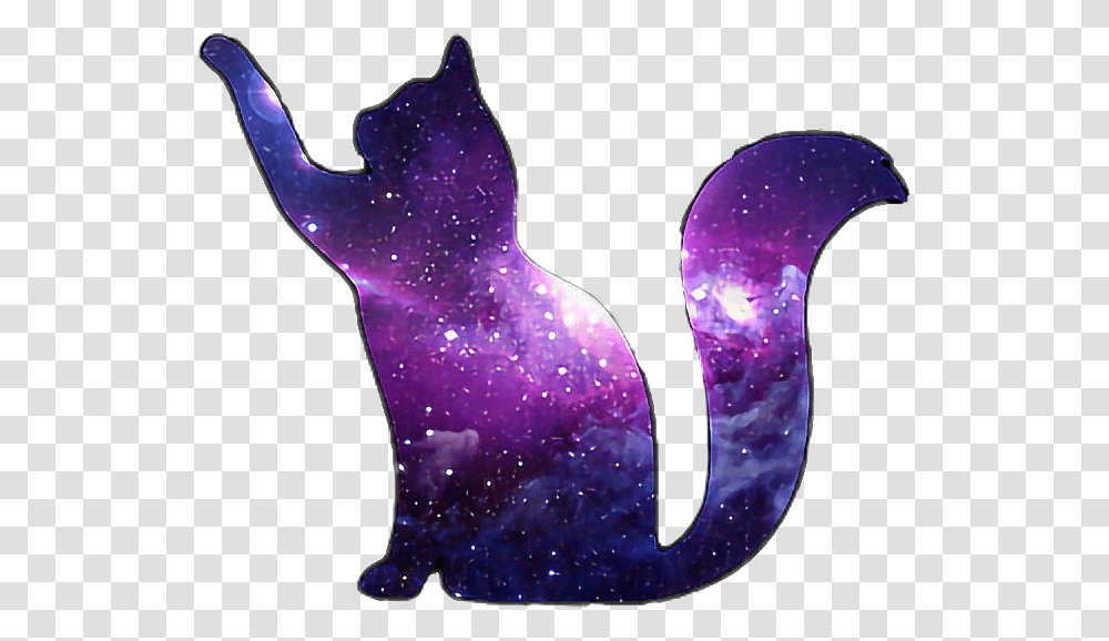 Kitty Galaxy, Purple, Light, Glitter, Amethyst Transparent Png