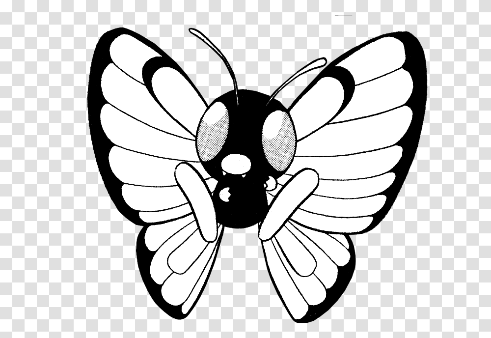 Kitty Pokemon Adventures Kitty, Insect, Invertebrate, Animal, Stencil Transparent Png