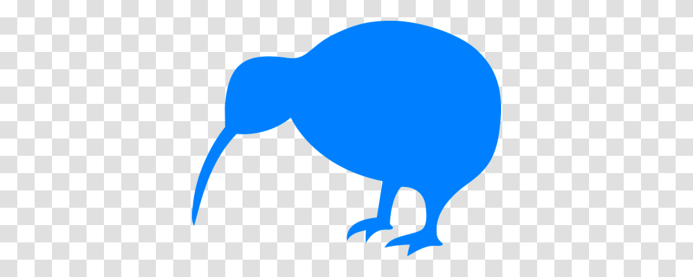 Kiwi Animals, Mammal, Silhouette, Sea Life Transparent Png