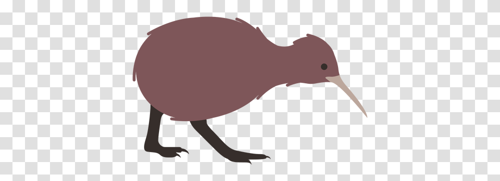 Kiwi Beak Leg Flat & Svg Vector File Kiwi Bird Drawing, Animal, Baseball Cap, Outdoors, Invertebrate Transparent Png