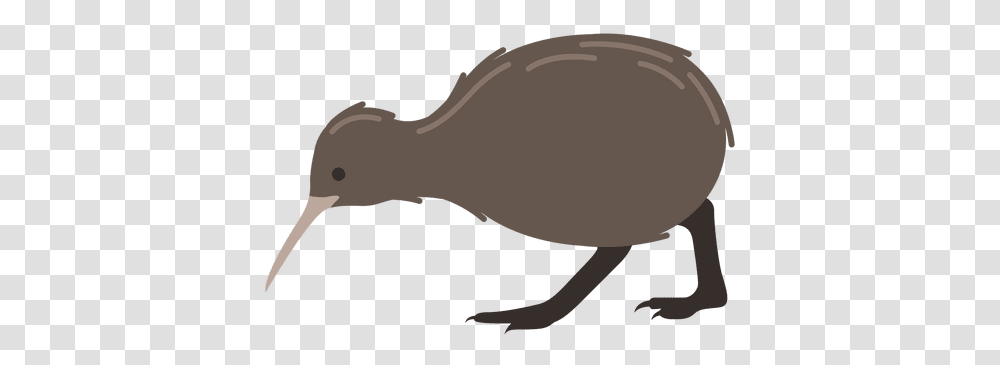Kiwi Bird 5 Image Kiwi Bird Cartoon, Animal, Amphibian, Wildlife, Fish Transparent Png