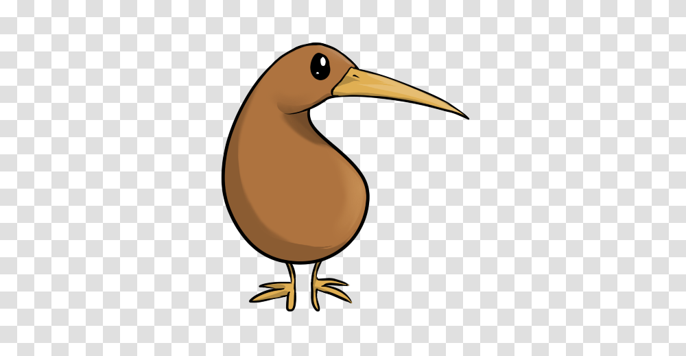 Kiwi Bird, Animal, Beak Transparent Png