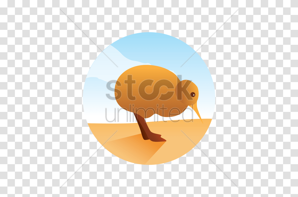 Kiwi Bird Clipart Sandpiper, Animal, Balloon Transparent Png