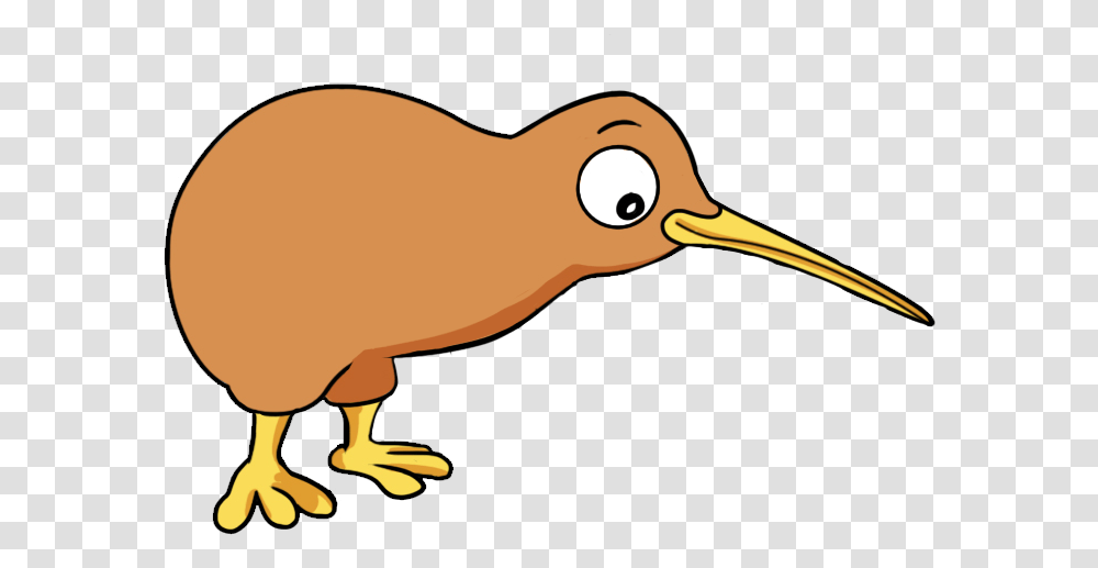 Kiwi Bird Clipart Small Download Full Size Clipart Kiwi Bird Cartoon Kiwi, Animal, Beak Transparent Png