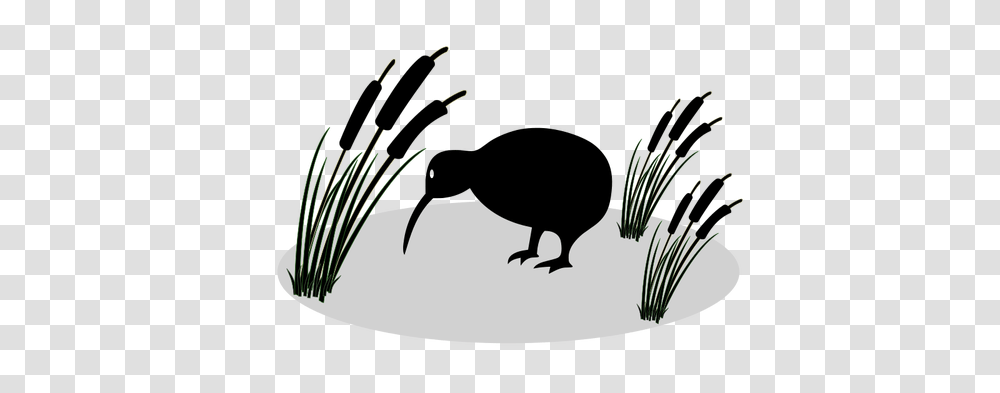 Kiwi Bird Clipart Vector, Animal, Plant, Mammal, Blackbird Transparent Png